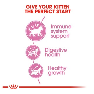 [400g] Hạt Royal Canin Kitten Cho Mèo Con