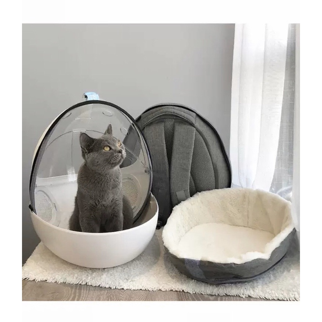 Balo Bọ Dừa - Balo Trong Suốt Cho Chó Mèo