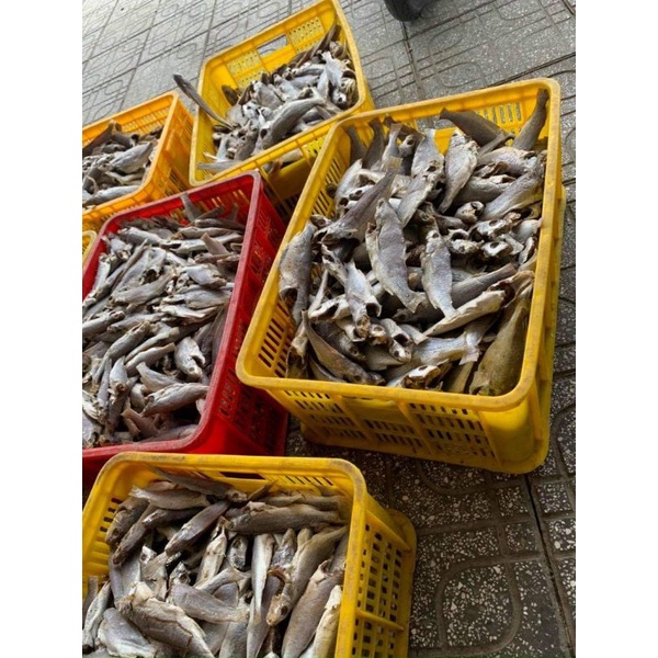 Khô đù 3 nắng size 20 30 con kí