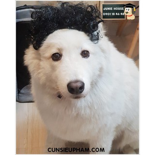 Tóc giả cho Boss