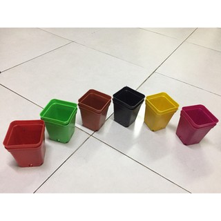 Chậu vuông 7x7 nhiều màu (Set 100 cái).