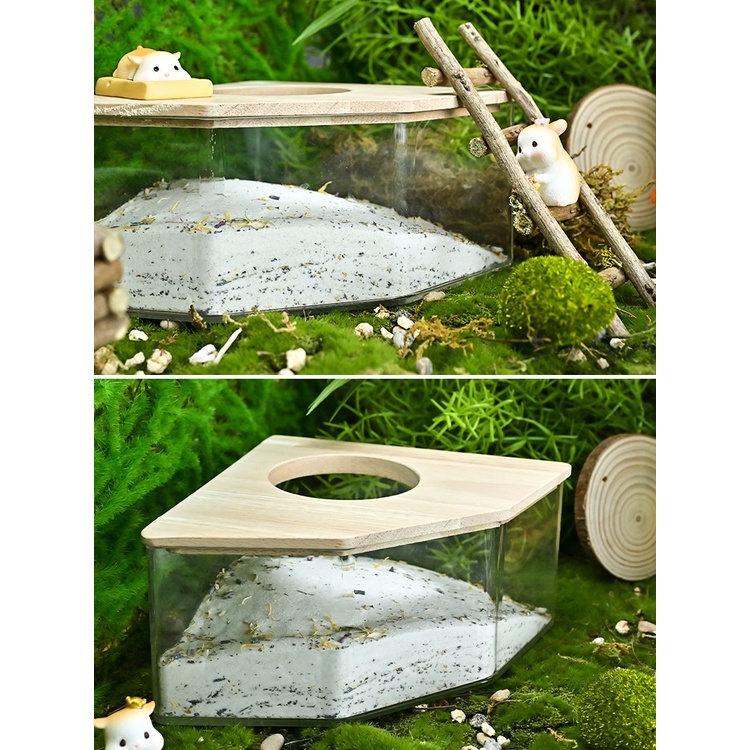 khay tròn và ngũ giác đa năng cho hamster