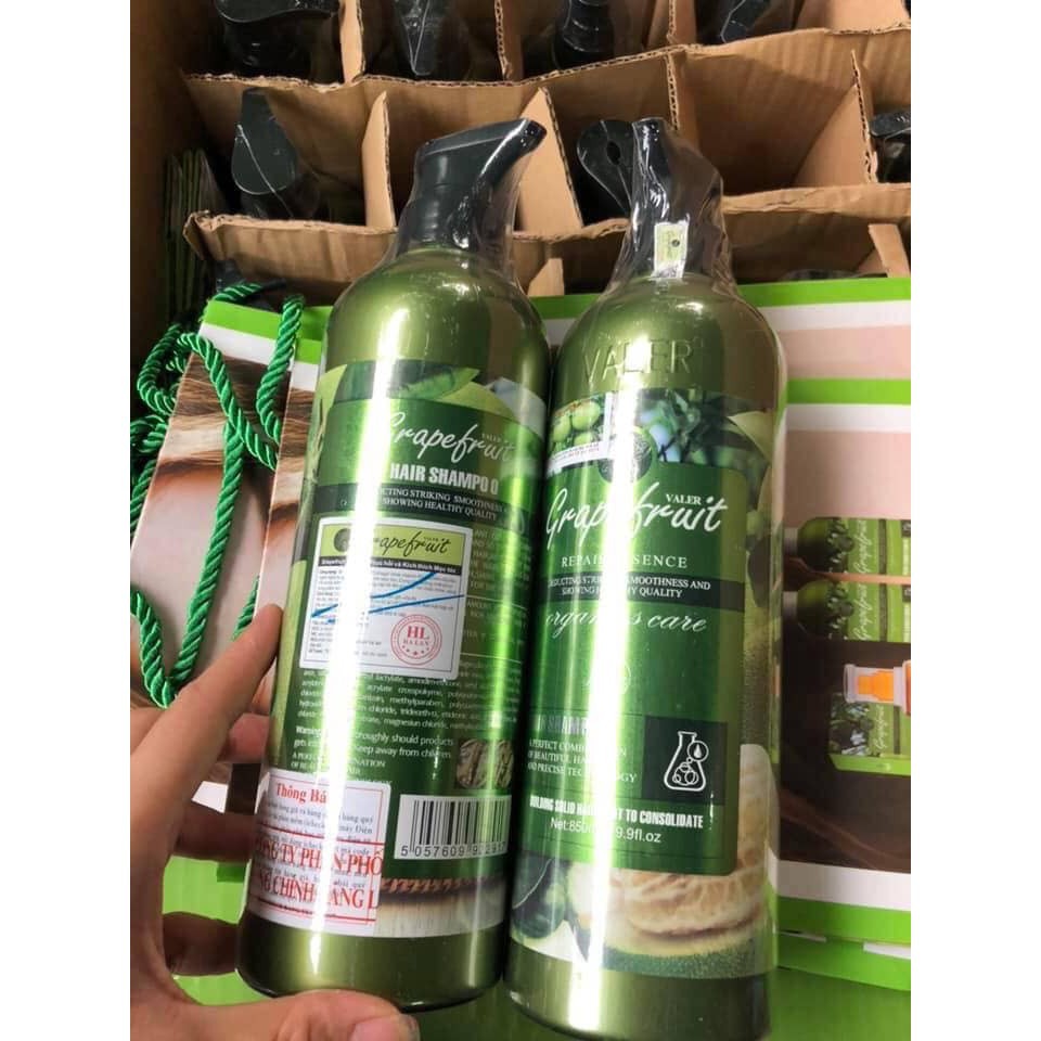Bộ dầu gội xả Bưởi Đo Grape Fruit Repair Hair 850ml H305 | BigBuy360 - bigbuy360.vn