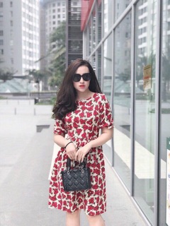 Váy chất lạnh thái sang chảnh tiểu thư