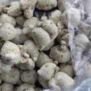 Tam Thất Nam củ sạch đẹp 100 gram.