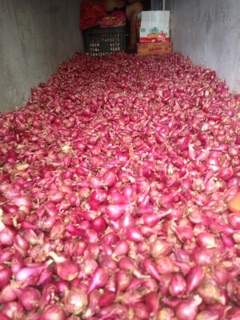 1KG HÀNH TÍM LÝ SƠN LOẠI 1