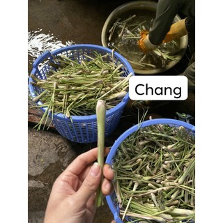 Trà xả chanh bạc hà