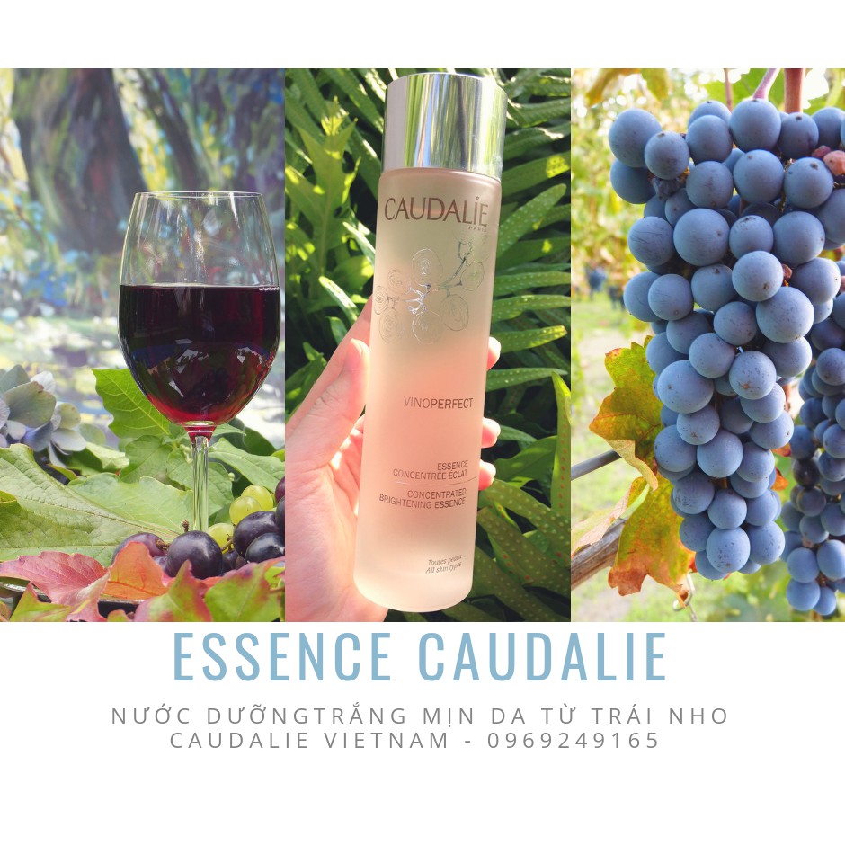 Nước thần ESSENCE CAUDALIE VINOPERFECT 100ml | BigBuy360 - bigbuy360.vn