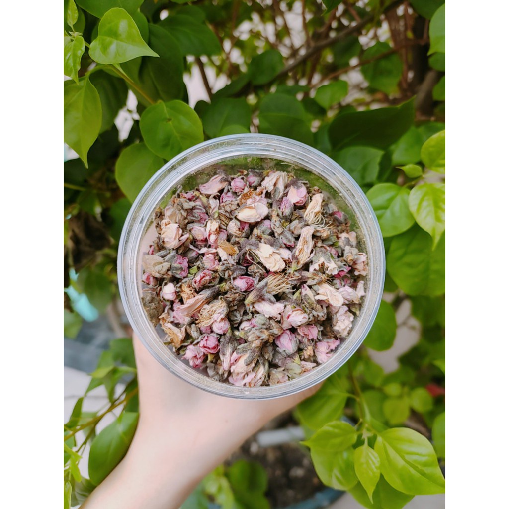 ( ảnh thật + video ) hoa anh đào khô bông không vụn giảm căng thẳng tiểu đường 100 gram