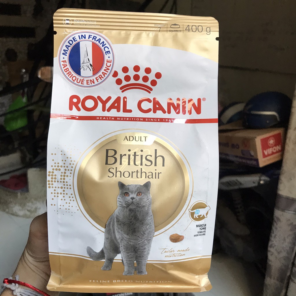 Hạt dành cho Anh Lông Ngắn trưởng thành BRITISH SHORTHAIR ADULT