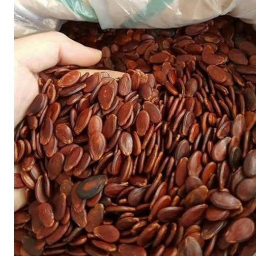 Hạt Dưa Không Phẩm Màu Có Protein Giúp Điều Hòa Huyết Áp Duy Trì Hoạt Động Của Hệ Tiêu Hóa Và Làm Đẹp Da [500G]