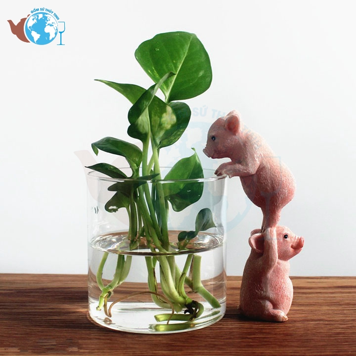 D10Cm X H10Cm - Lọ Hoa Hồ Cá Thủy Tinh Dáng Trụ Tròn 10X10