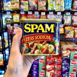 Thịt Hộp PaTe Spam