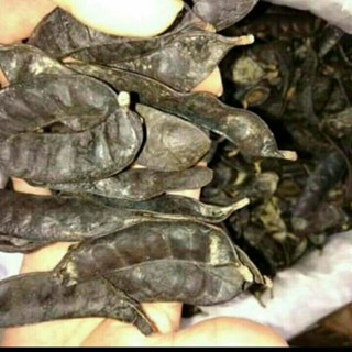 Sỉ lẻ bồ kết khô 500g - 1kg