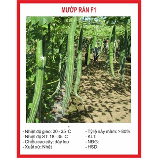 [HẠT GIỐNG GREEN] Hạt Giống Mướp Rắn 10 Hạt