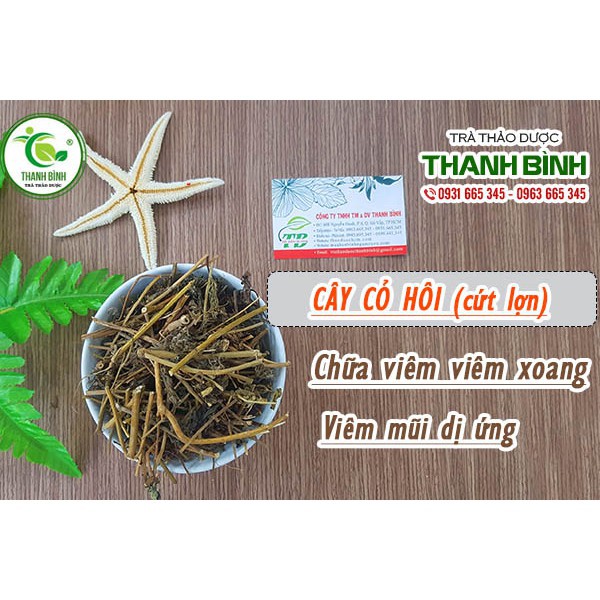 Cây Cứt Lợn  Khô 1kg - Thảo Dược Thanh Bình