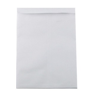 Bao thư trắng A4 ( xấp 10 cái )
