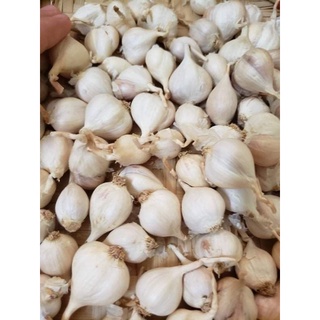 Tỏi tam tài lý sơn 1kg