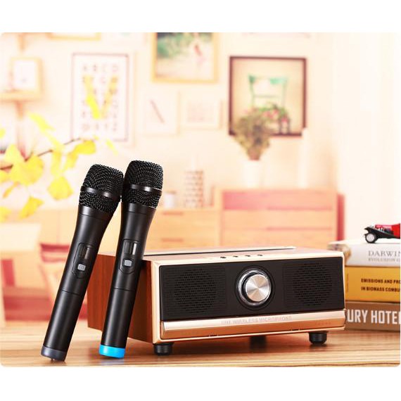 Bộ hát Karaoke 2 mic cao cấp UHF Wireless Microphone 2000mAh - Home and Garden