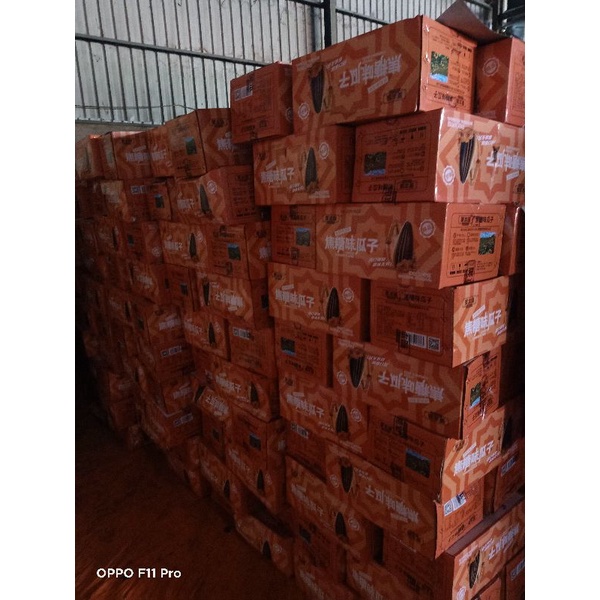 Sỉ 1 thùng 5kg Hạt Hướng Dương Vị Táo Đỏ, Caramel,Óc Chó, Vị Dừa