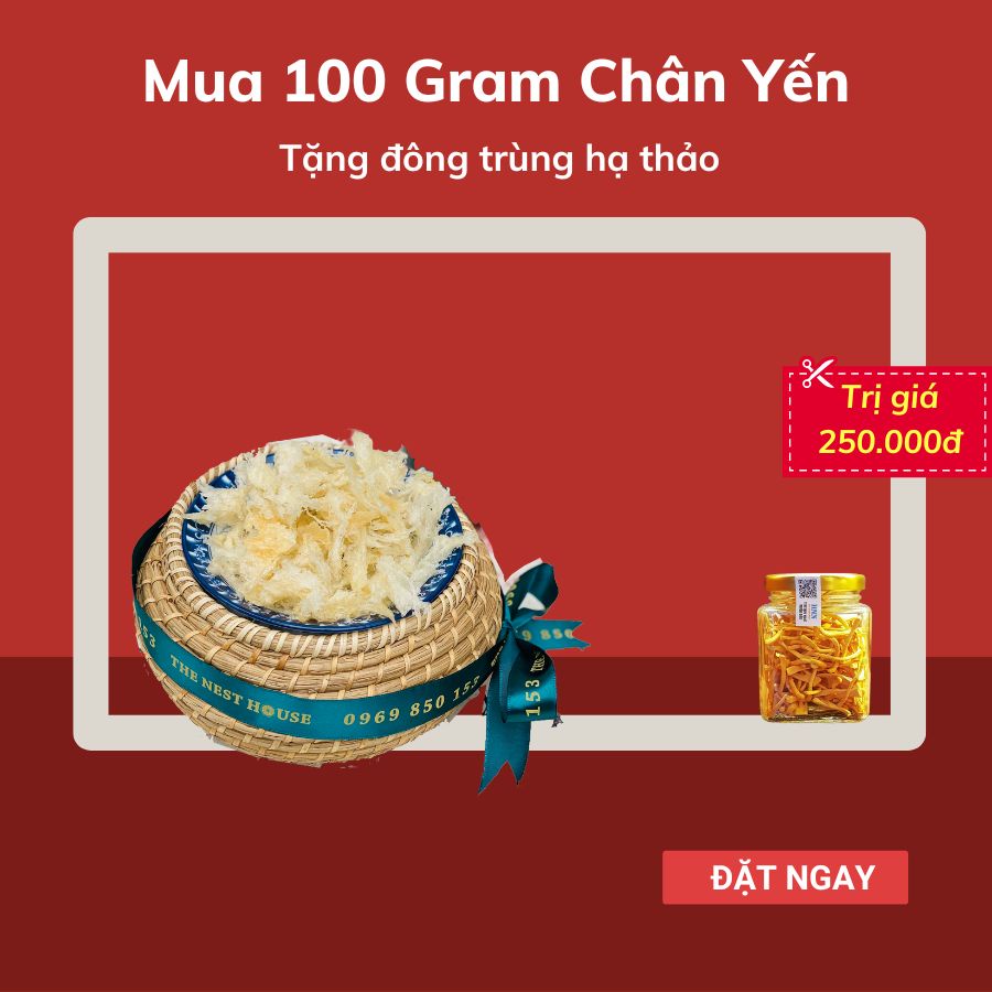 Chân yến sào tinh chế nguyên chất rút lông cao cấp 100g The Nest House