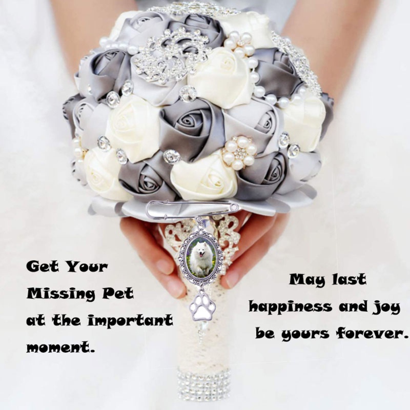 Ghim Cài Áo Hình Dấu Chân Cún / Bầu Dục Đính Đá Quý