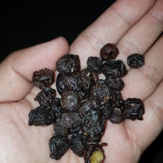 Quả Mắc Mật
