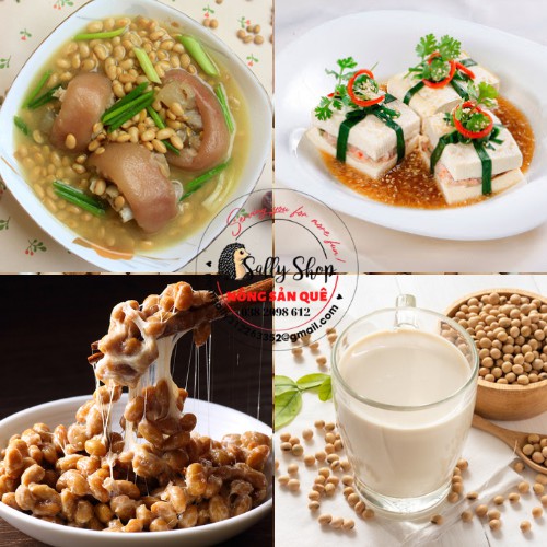 Đậu Nành Sống Hữu Cơ 250g Đỗ Tương Quê Sạch - Nông Sản Quê Sally Shop