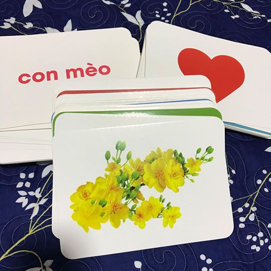 Bộ thẻ học Flash Card Glenn Doman chuẩn 100% - Thế giới xung quanh A5