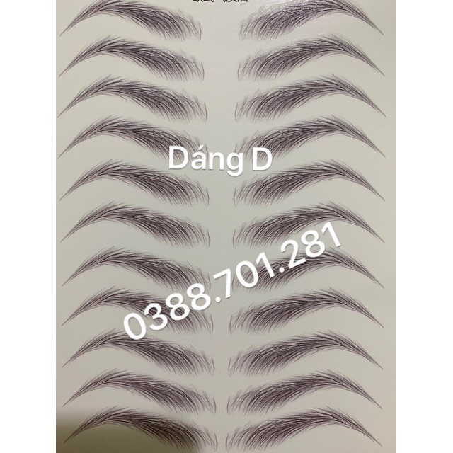 Xăm lông mày 3D - 1 bộ 11 cặp [ Có clip hương dẫn ] | BigBuy360 - bigbuy360.vn