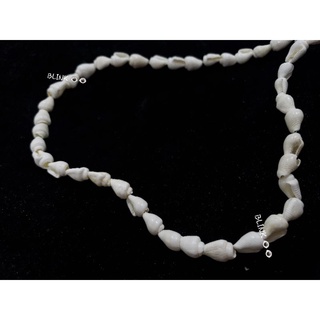 Vòng cổ vỏ sò handmade nhà BLINK 👁👁