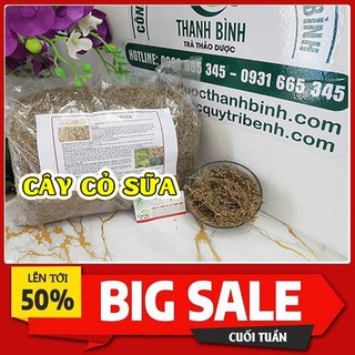 Cây Cỏ Sữa 1Kg - Hàng Công Ty Đạt Loại 1