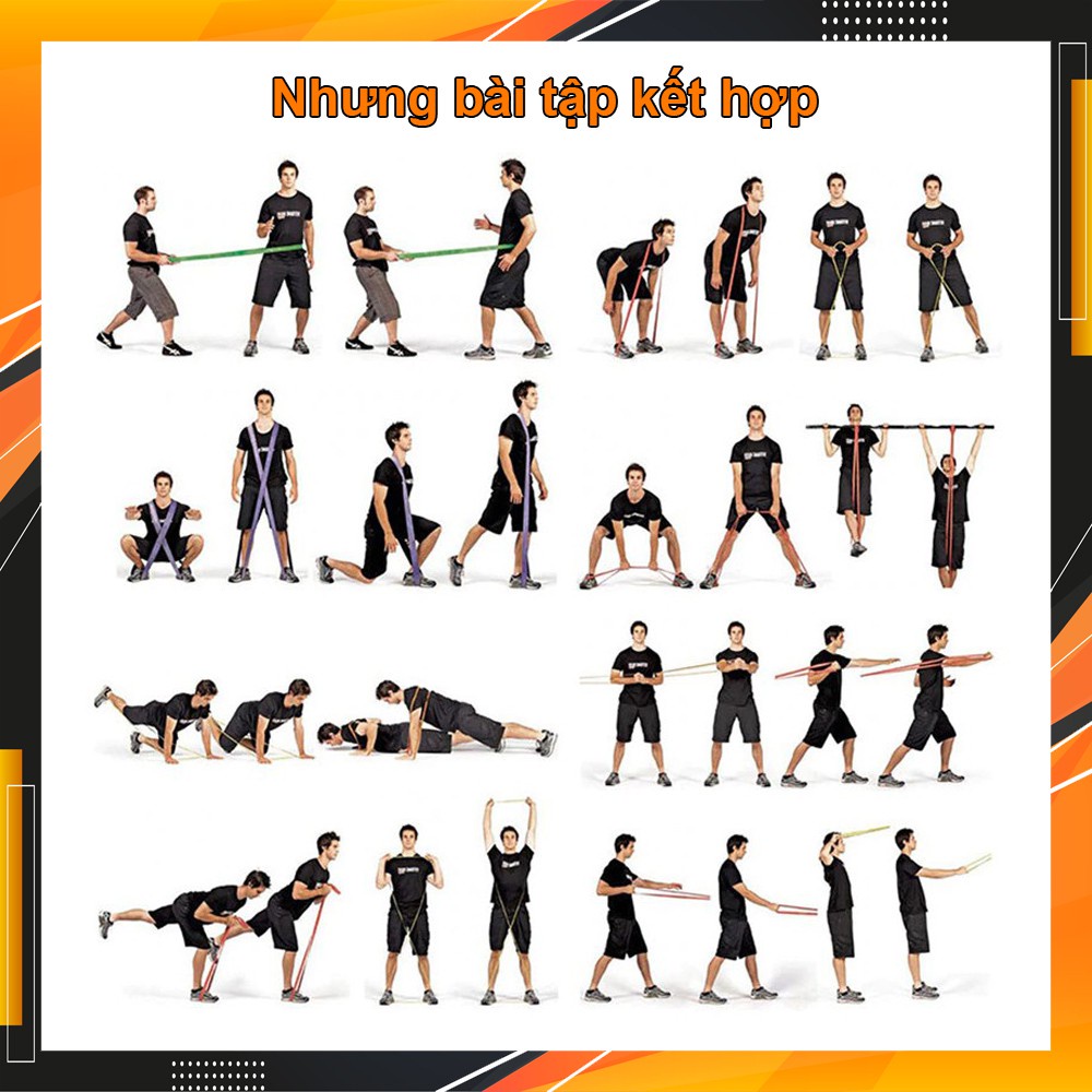 Dây Kháng Lực Tập Gym Đa Năng Power Band Hỗ Trợ Tập Luyện, Hỗ Trợ Lên Xà Chính Hãng Eros
