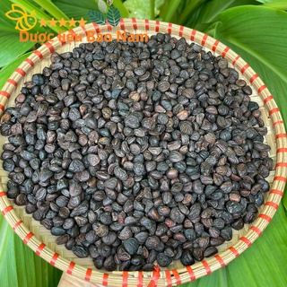 Hạt dổi rừng tây bắc -100gr, hạt dổi sìn hồ lai châu