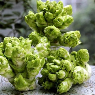 Hạt giống Cải Mần Đá