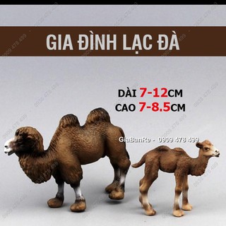 Mô Hình Gia Đình Lạc Đà 2 con - Thế Giới Động Vật- 7705.2