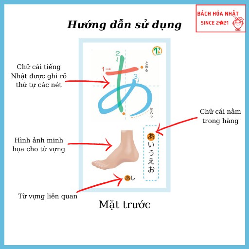 Thẻ Flashcard học chữ cái tiếng Nhật dành cho mọi độ tuổi