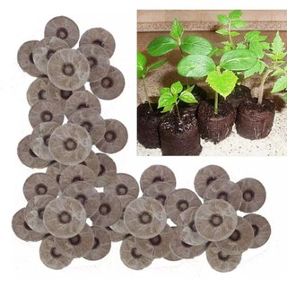 Combo 10 viên nén sơ dừa ươm cây