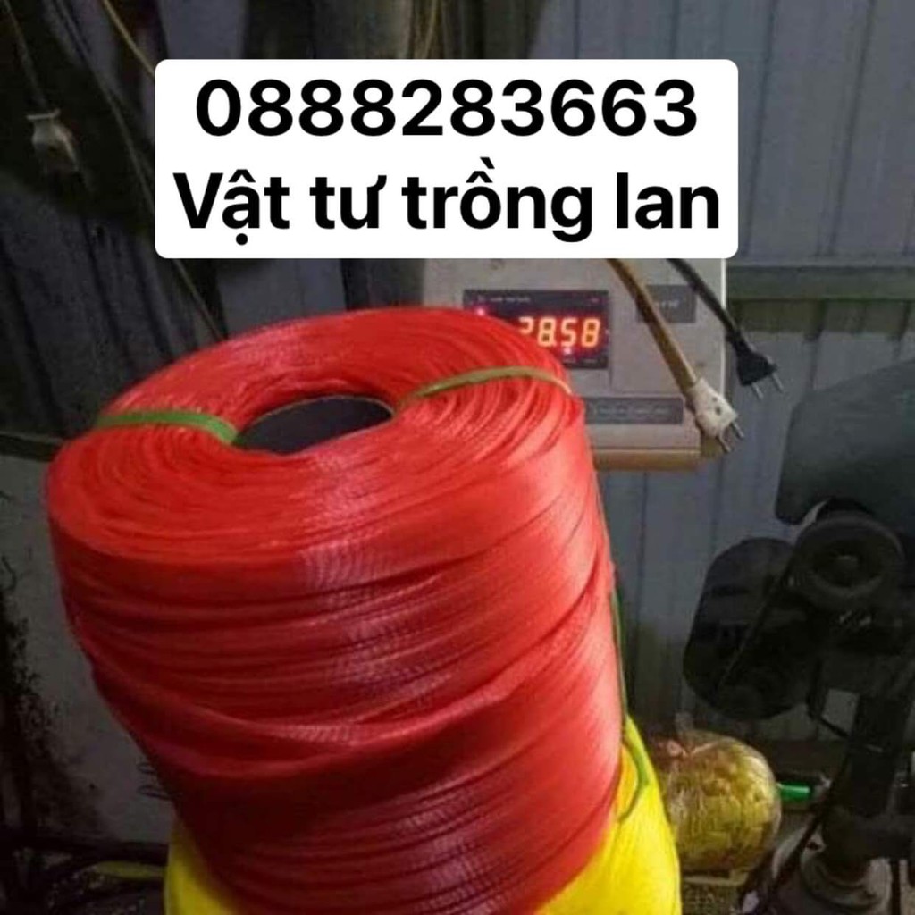 [ SIÊU RẺ ] 1Kg Túi Lưới Bọc Hoa Quả, Bọc Trái Cây,Bưởi, Hành, Tỏi,Đồ Chơi Các Loại, Bọc Chậu Lan Các Loại....