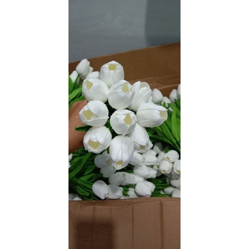 hoa cầm tay cô dâu tuylip trắng 16 bông