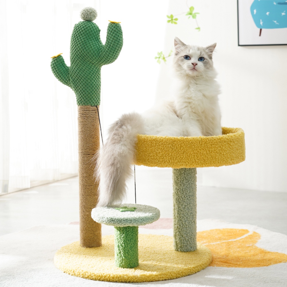 Cattree cây cào móng cho mèo xương rồng BECHON