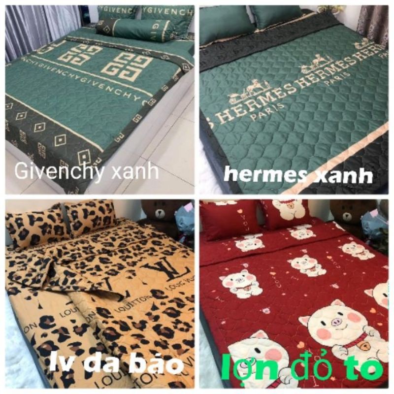 Bộ ga gối poly cotton hàng đẹp full size m2, m6, m8, 2m2 và màu (được chọn mẫu)