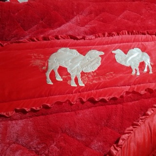Chăn lạc đà