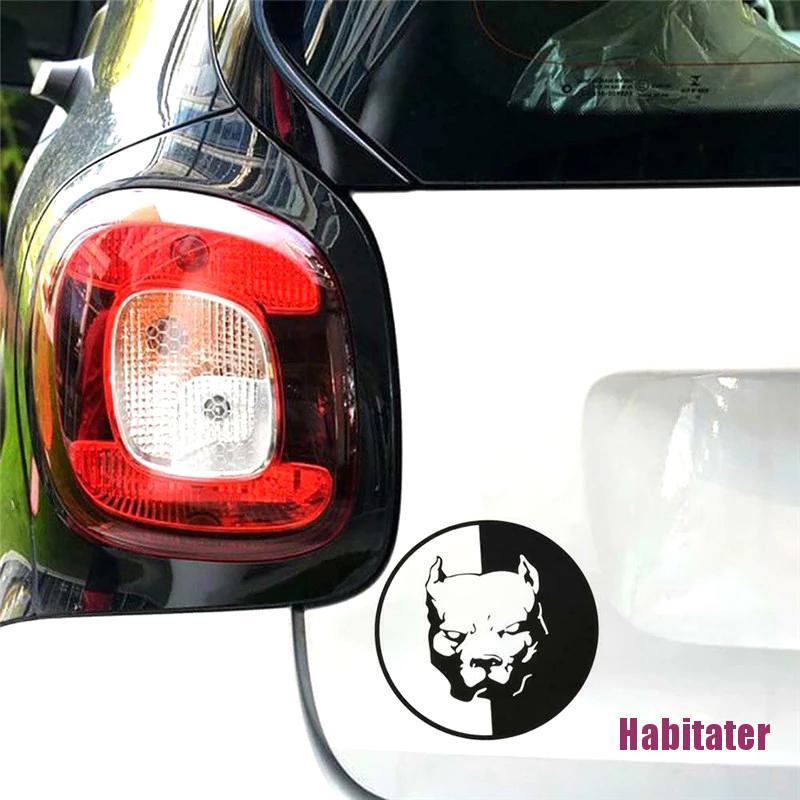 Decal Dán Tường Hình Chó Pitbull