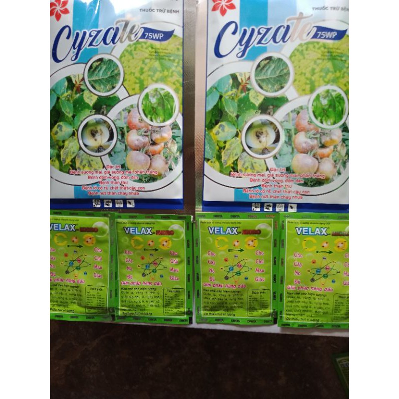 combo bộ đôi thuốc trừ bệnh hoa Hồng