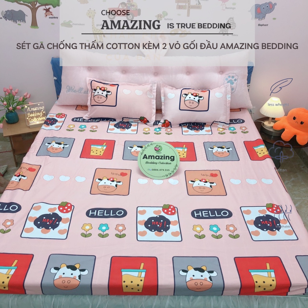 Sét ga chống thấm Cotton kèm vỏ gối đầu Amazing Bedding.