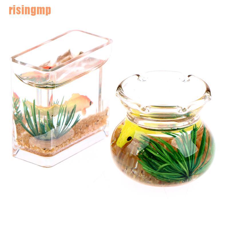 Mô Hình Trang Trí Bể Cá Thu Nhỏ &amp; X House