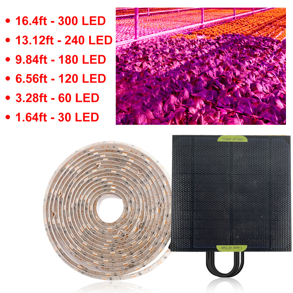 Dải Đèn Led 5v 2835 Năng Lượng Mặt Trời Dùng Để Trồng Cây Trong Nhà Bằng Silicon