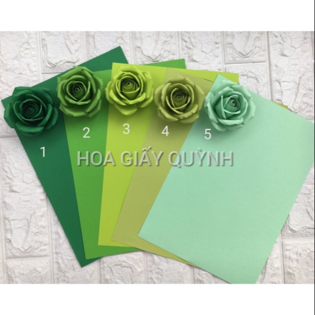 Xấp 100 tờ giấy bìa màu A4 tông xanh lá 120-160gsm