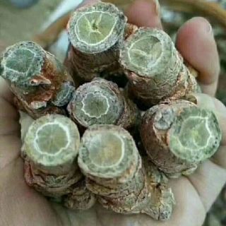 Củ Tam thất bắc khô 100g (loại 8 củ )